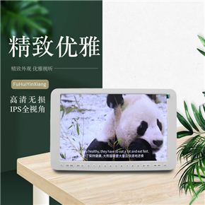 JSV06 10寸高清视频机